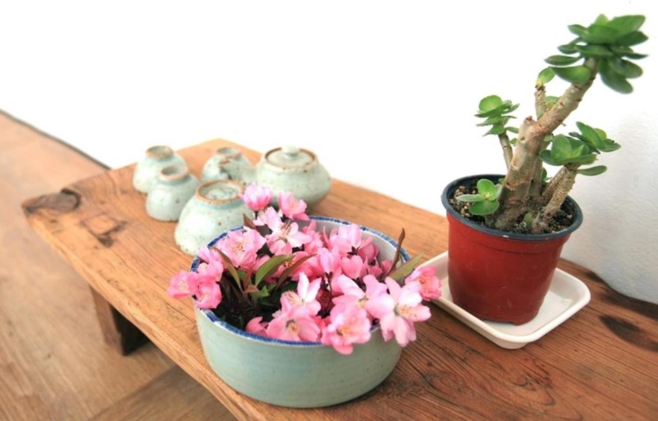 Mongyouhwawon Guesthouse Jeonju Ngoại thất bức ảnh